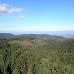 Cassiopeia Harzgerode